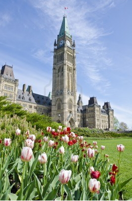 ParlementCanadien_tulipes.jpg