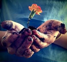 fleur-dans-mains-sales_Kryeon.jpg